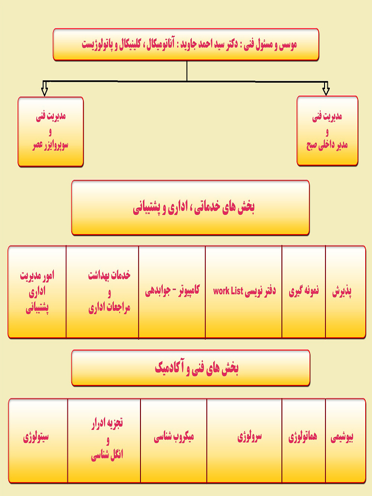 Dr-javid-laboratory-shiraz-Chart
